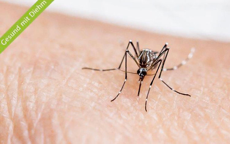 Malaria – Vorsicht bei Fernreisen